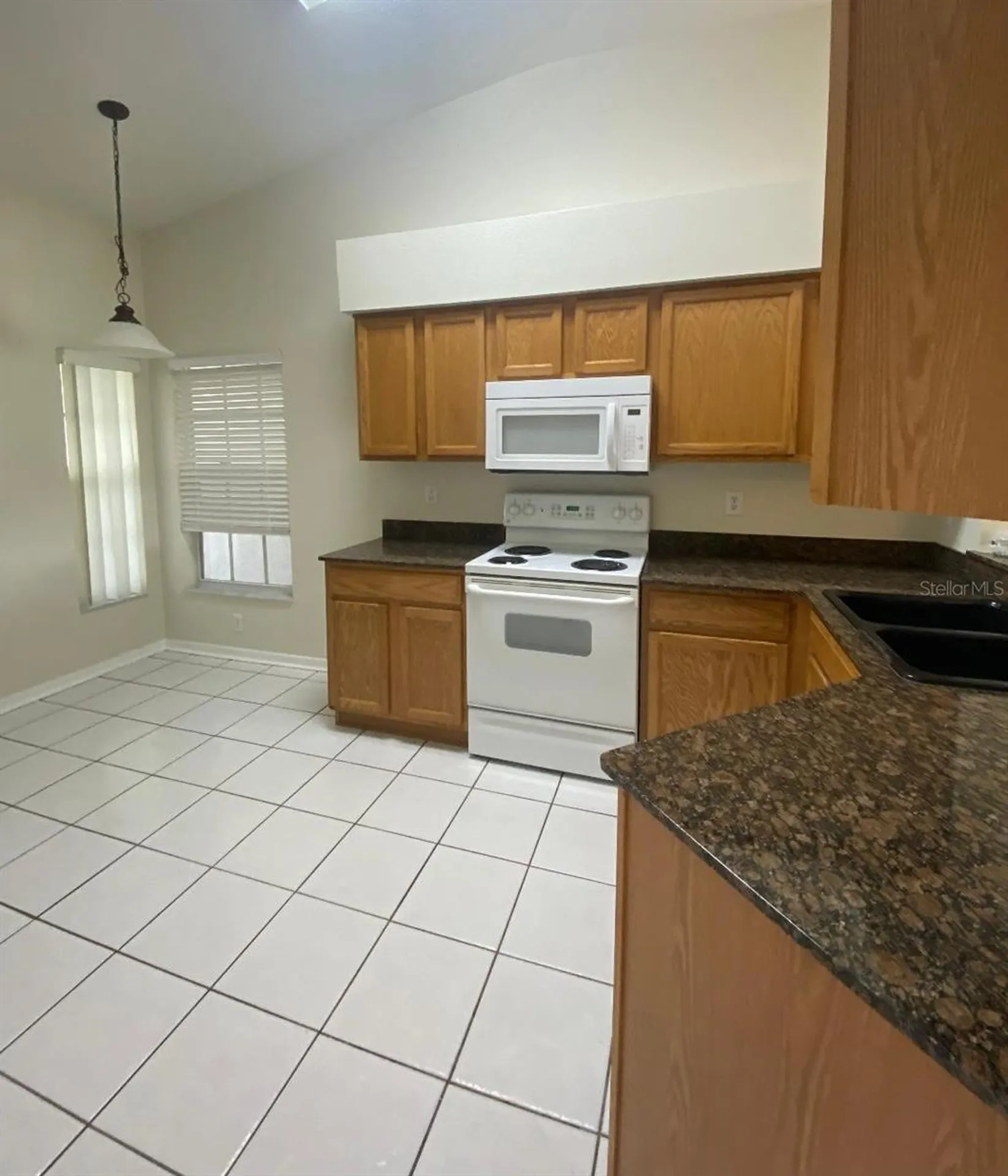 25456 Geddy Drive Land O Lakes FL 34639