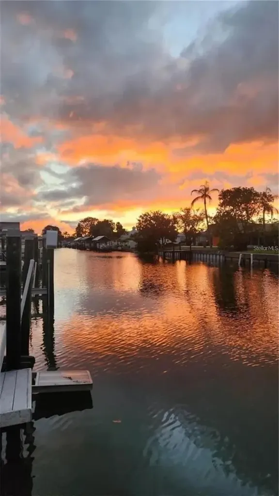 8717 Bay Pointe Drive Tampa FL 33615