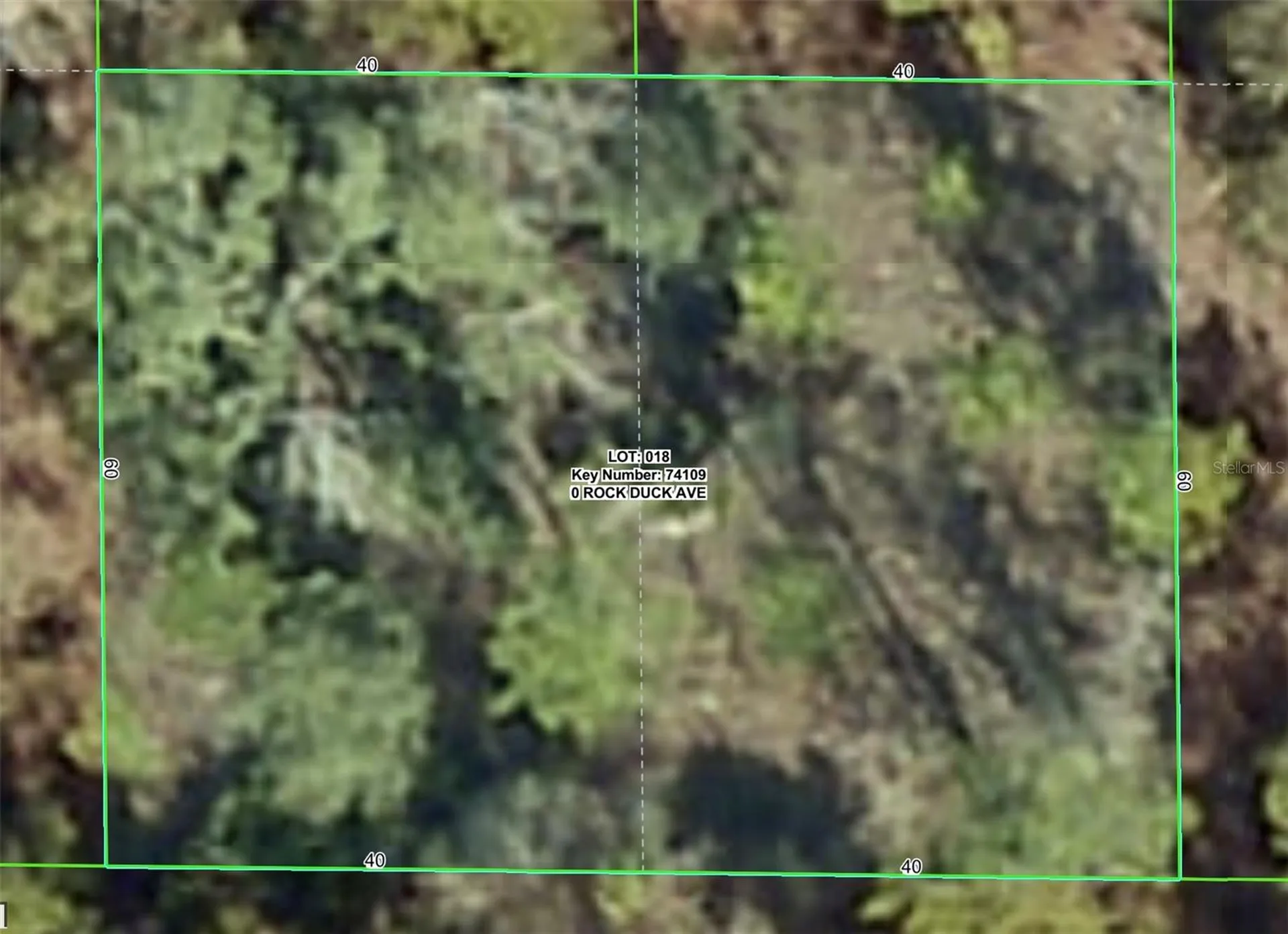 Rock Duck Avenue Brooksville FL 34614