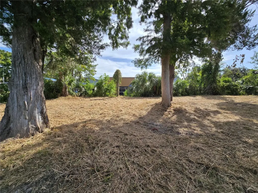 71 SE 893 Avenue Old Town FL 32680