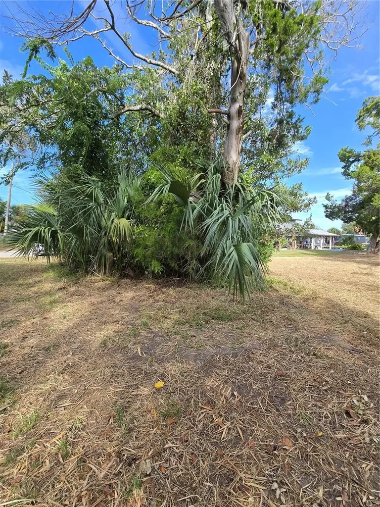 71 SE 893 Avenue Old Town FL 32680