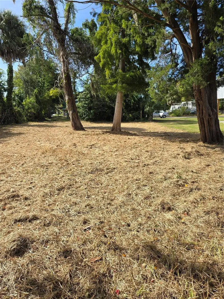 71 SE 893 Avenue Old Town FL 32680