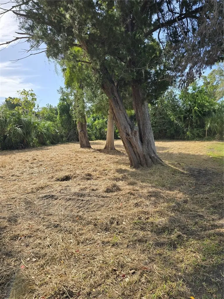 71 SE 893 Avenue Old Town FL 32680