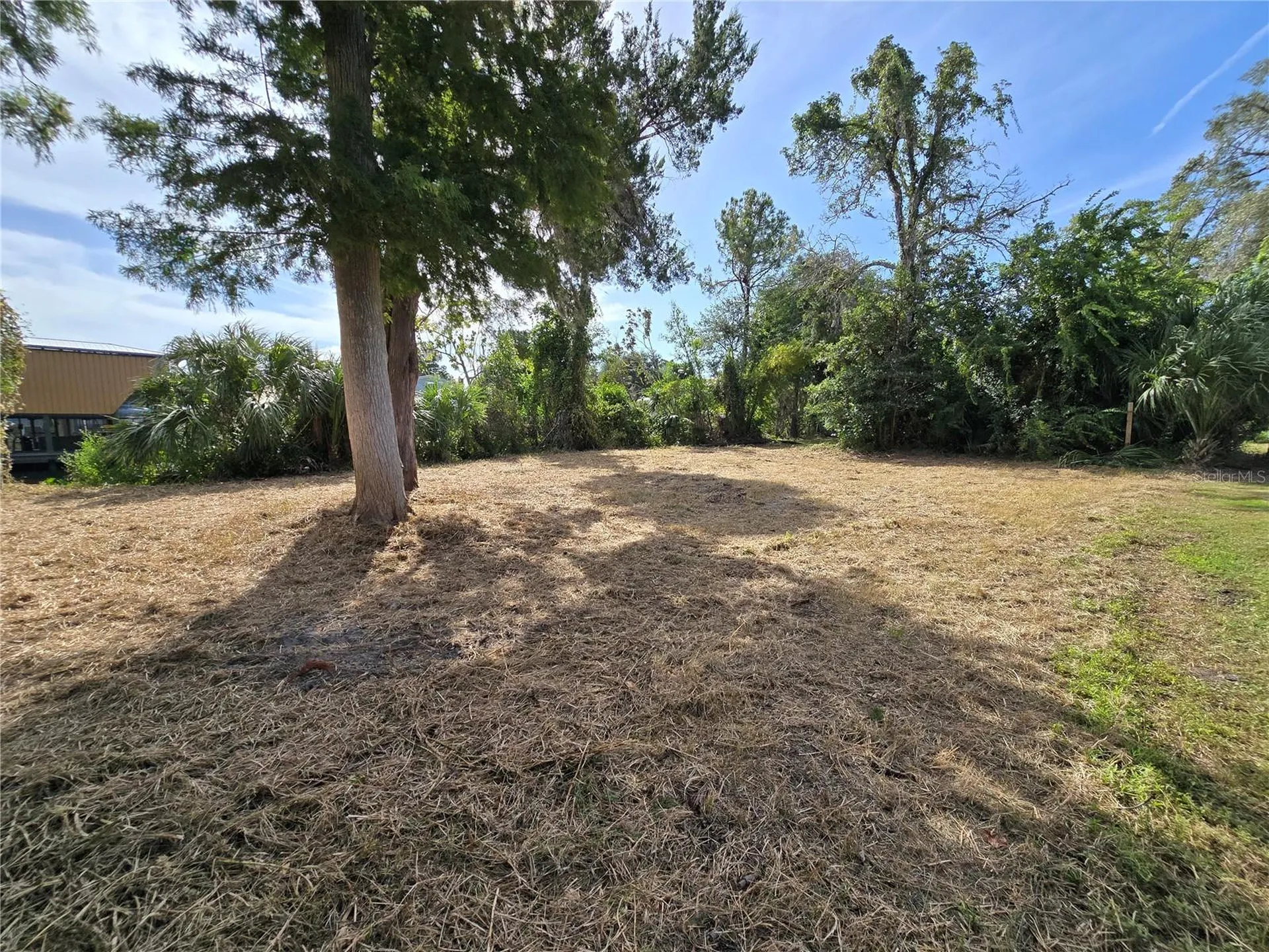 71 SE 893 Avenue Old Town FL 32680