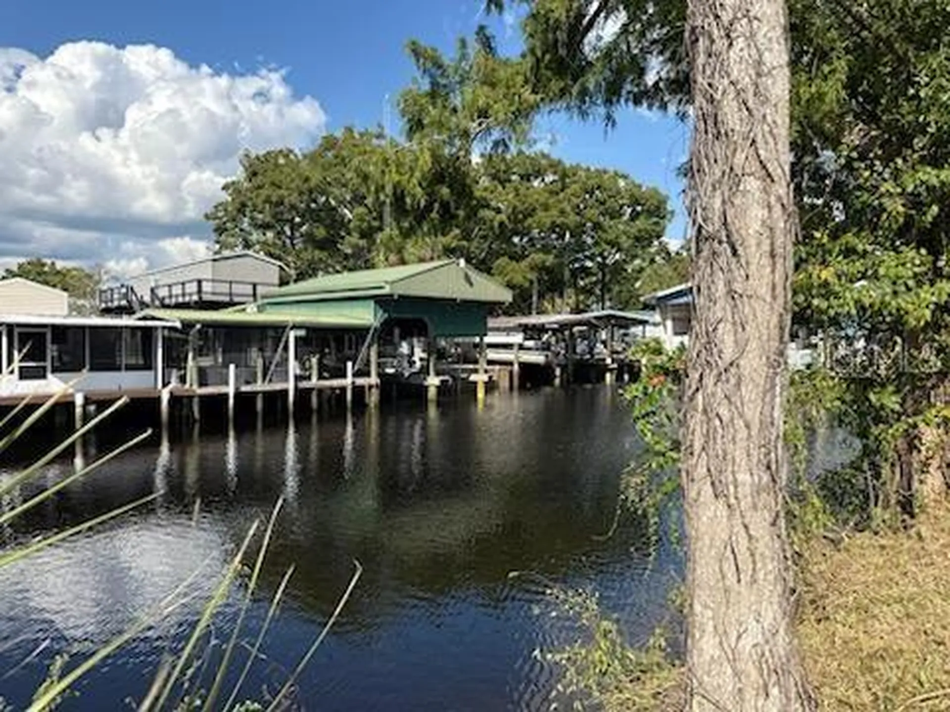 71 SE 893 Avenue Old Town FL 32680