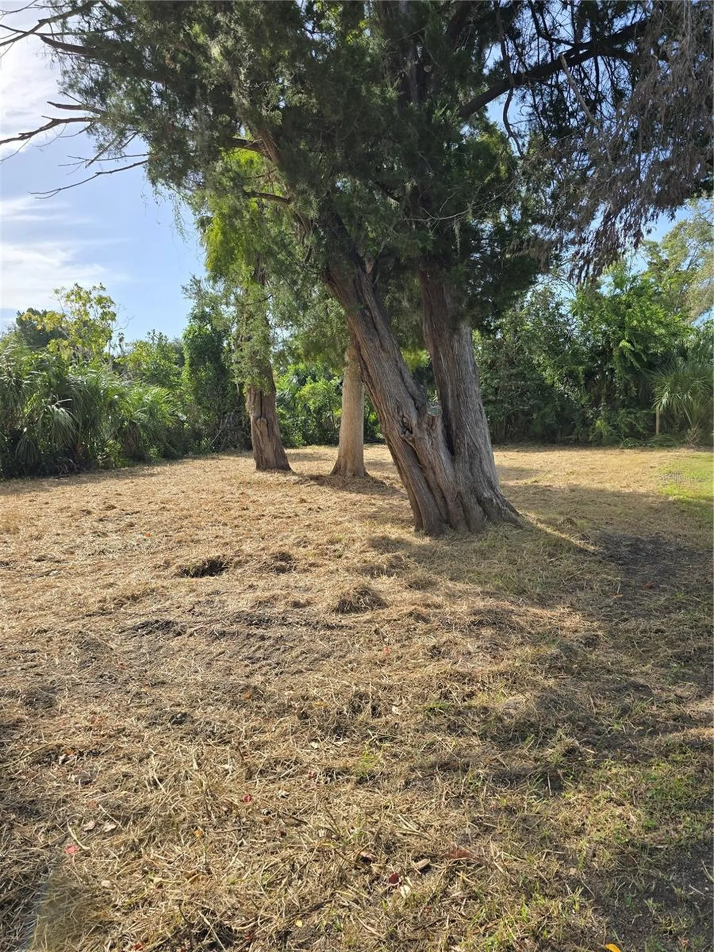 71 SE 893 Avenue Old Town FL 32680