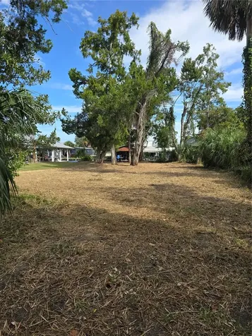71 SE 893 Avenue Old Town FL 32680