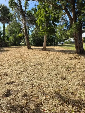 71 SE 893 Avenue Old Town FL 32680