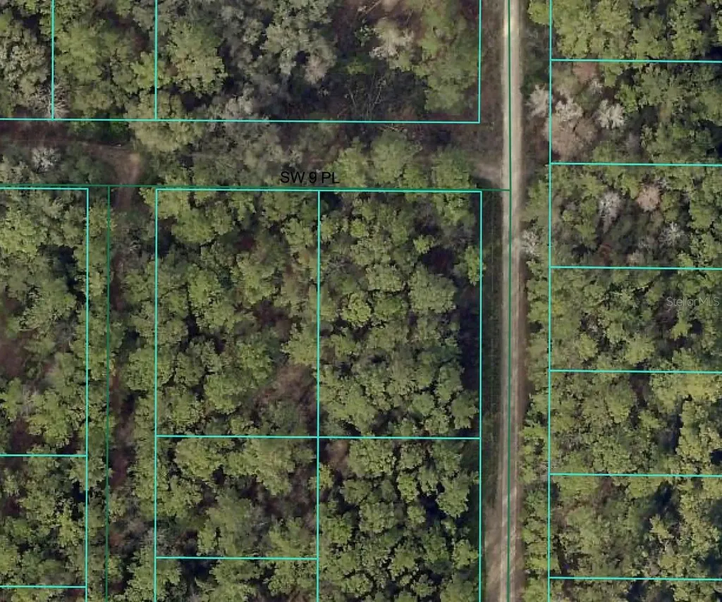 SW 9th Place Ocala FL 34481