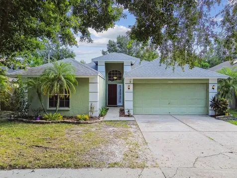 5646 Paddock Trail Drive Tampa FL 33624
