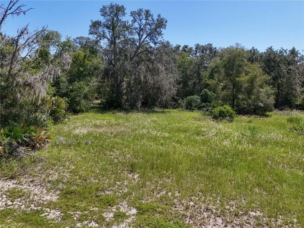 3134 Bright Lake Circle Leesburg FL 34748
