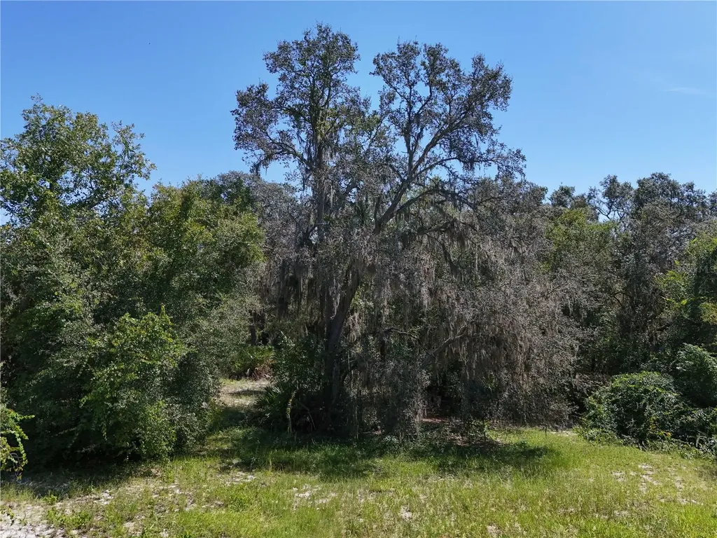 3134 Bright Lake Circle Leesburg FL 34748