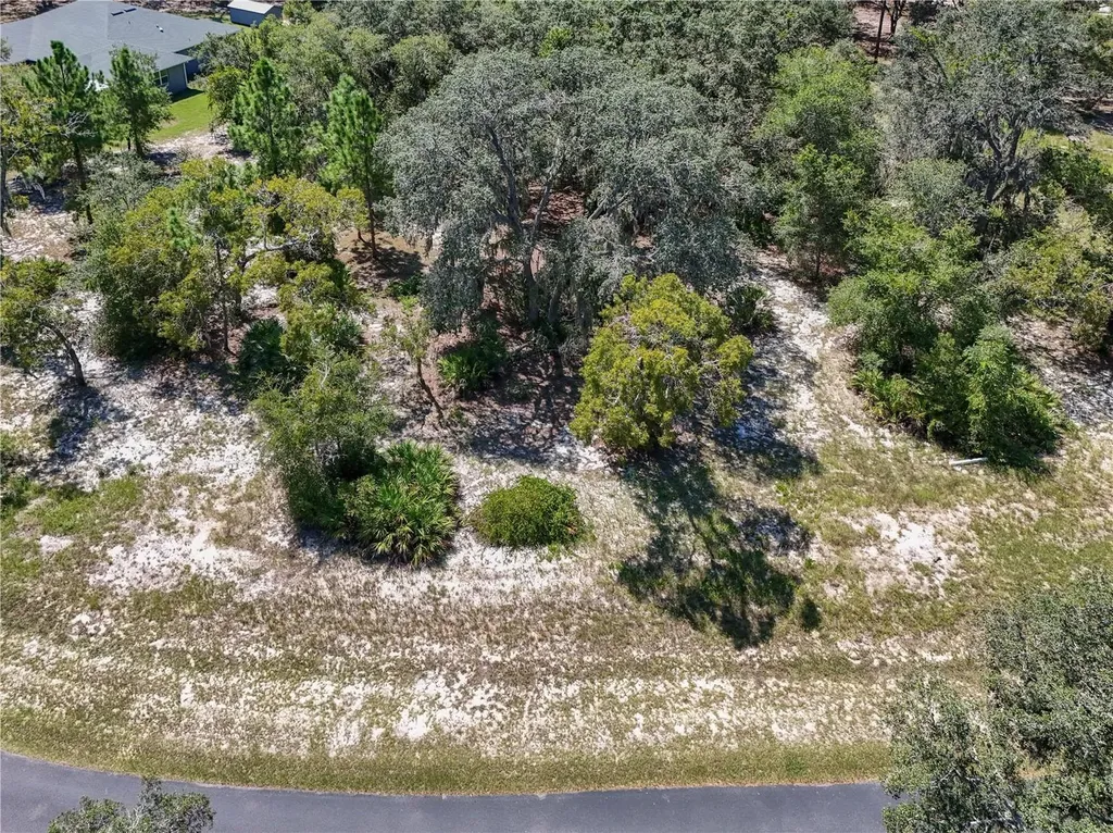 3134 Bright Lake Circle Leesburg FL 34748