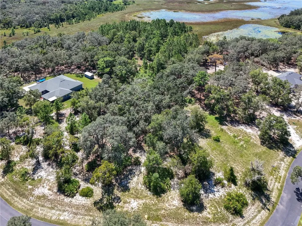 3134 Bright Lake Circle Leesburg FL 34748