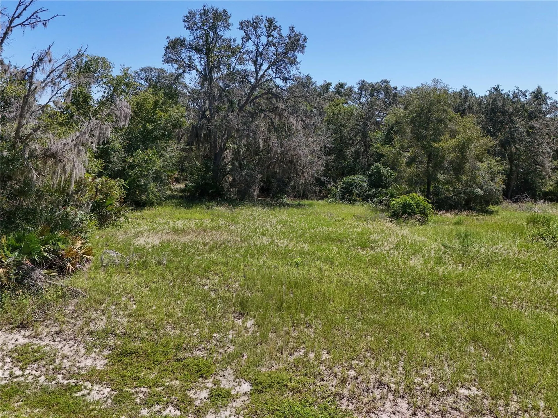 3134 Bright Lake Circle Leesburg FL 34748