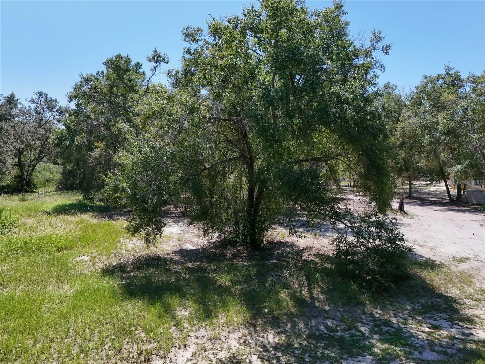 3134 Bright Lake Circle Leesburg FL 34748