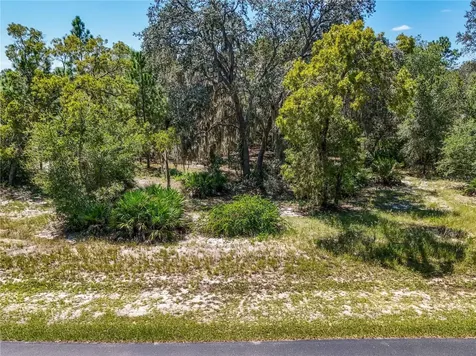 3134 Bright Lake Circle Leesburg FL 34748
