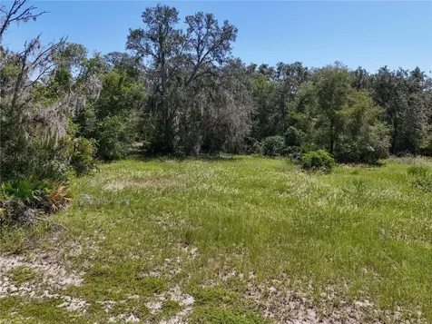 3134 Bright Lake Circle Leesburg FL 34748
