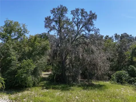 3134 Bright Lake Circle Leesburg FL 34748