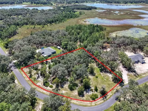 3134 Bright Lake Circle Leesburg FL 34748