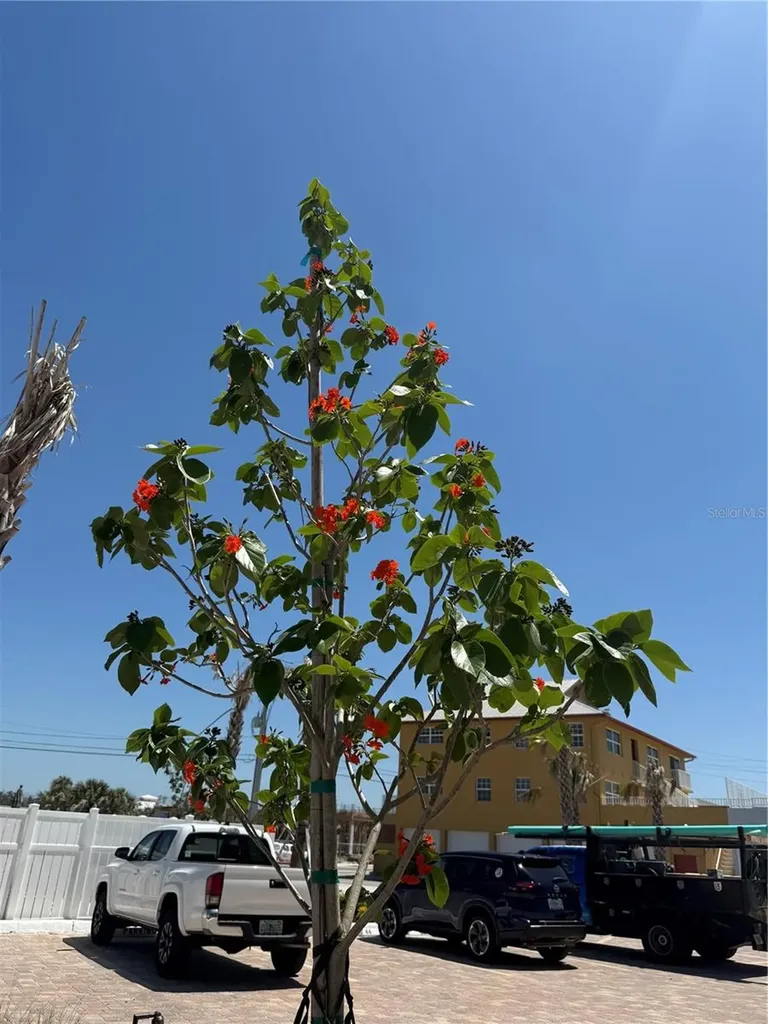 2532 Estero Boulevard Fort Myers Beach FL 33931