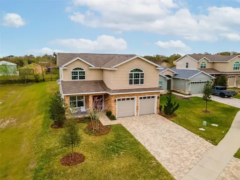 5039 NE 125th Loop Oxford FL 34484