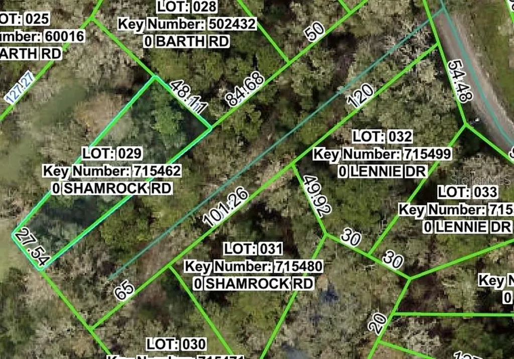 Shamrock Road Dade City FL 33523