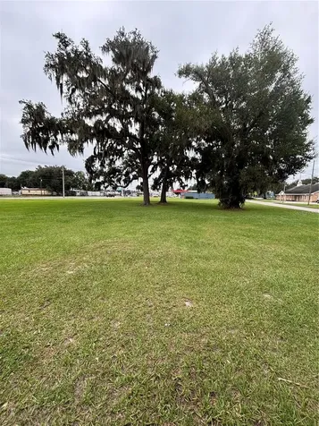Pine Level Avenue S Bartow FL 33830