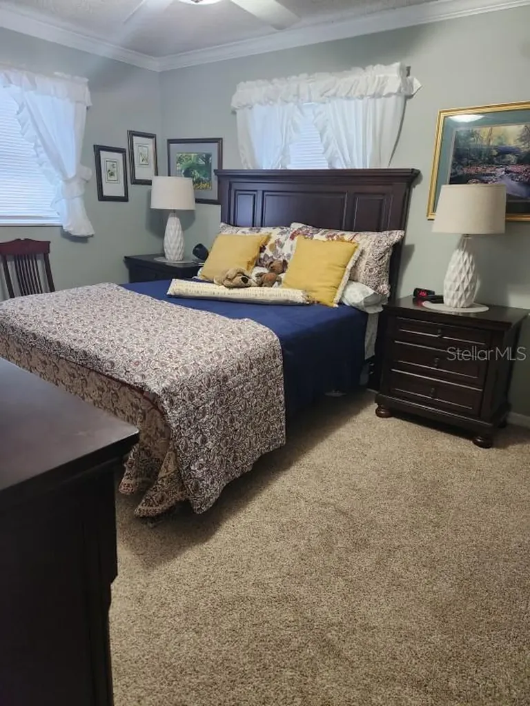 26630 Cayman Drive Tavares FL 32778
