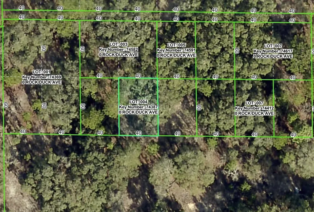 Rock Duck Avenue Brooksville FL 34614