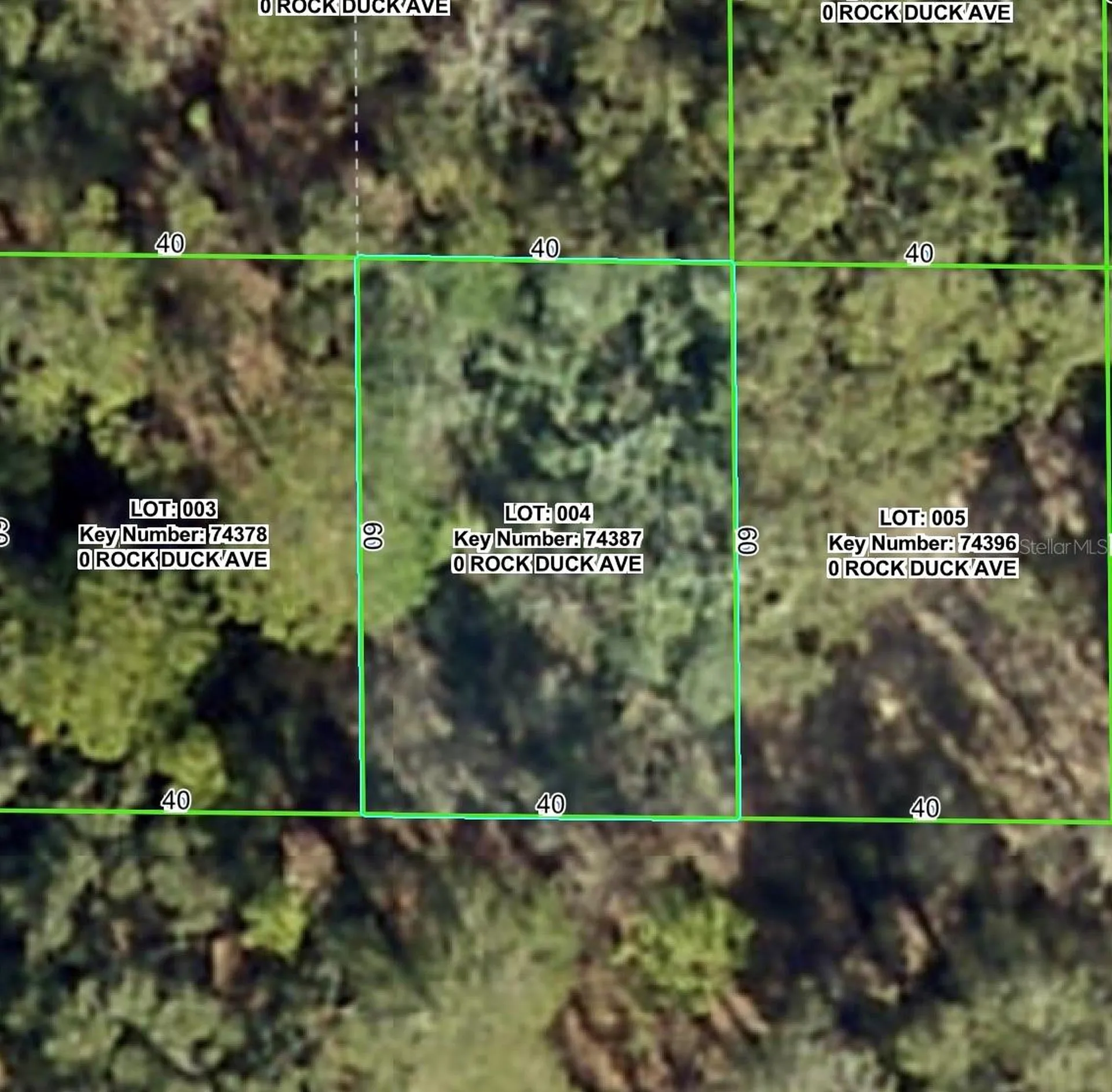 Rock Duck Avenue Brooksville FL 34614