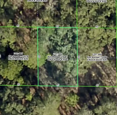 Rock Duck Avenue Brooksville FL 34614