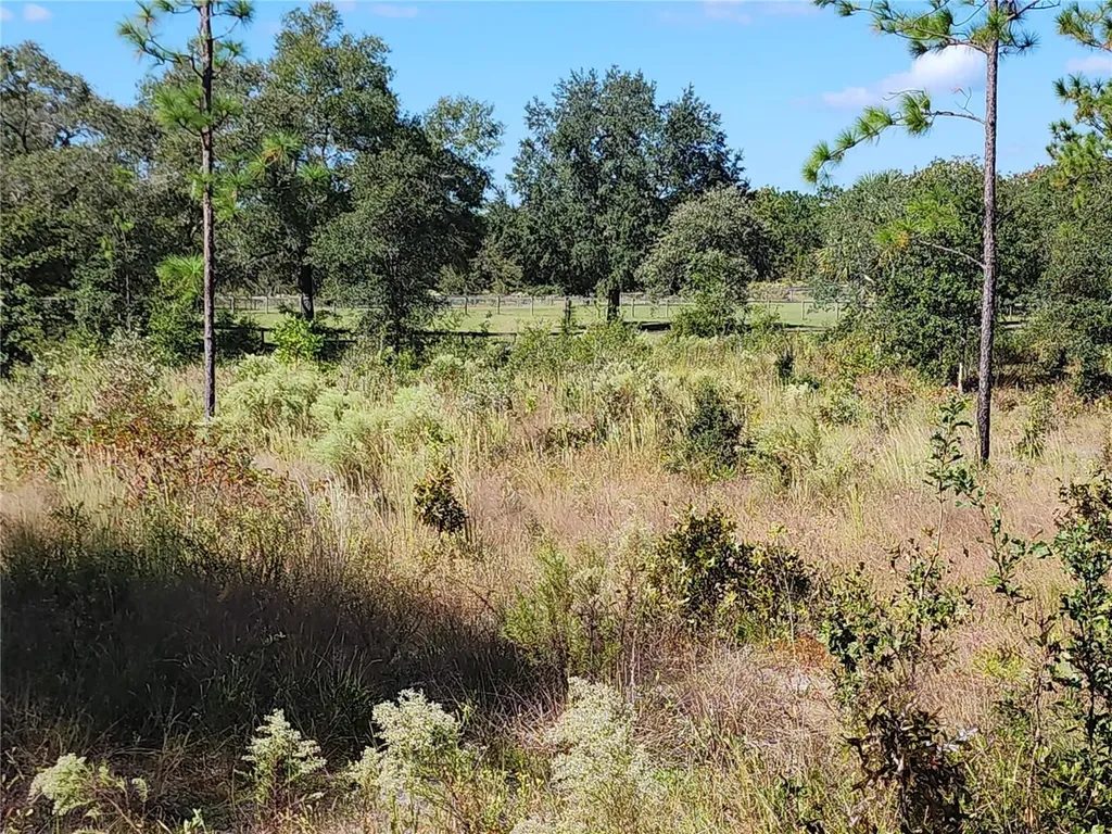 SE 125th Court Dunnellon FL 34431
