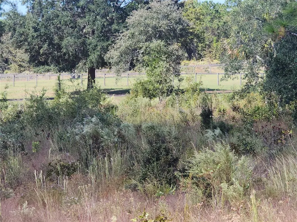 SE 125th Court Dunnellon FL 34431