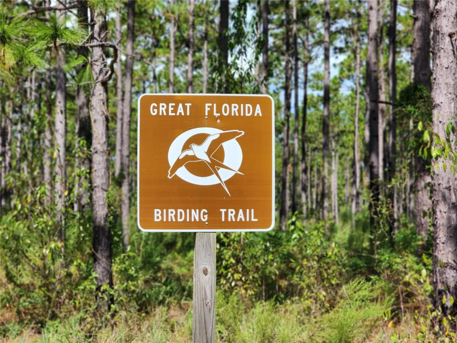SE 125th Court Dunnellon FL 34431