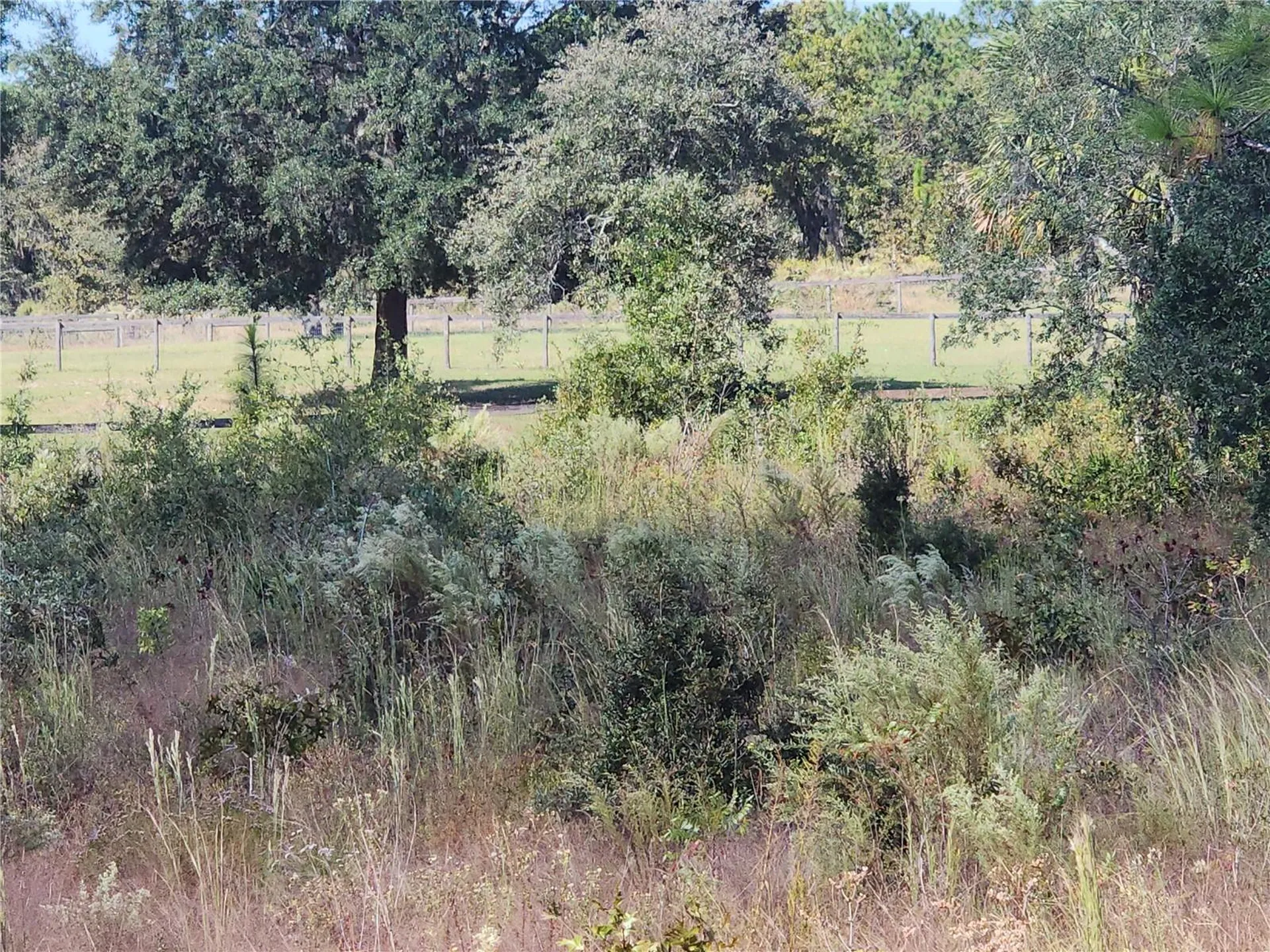 SE 125th Court Dunnellon FL 34431