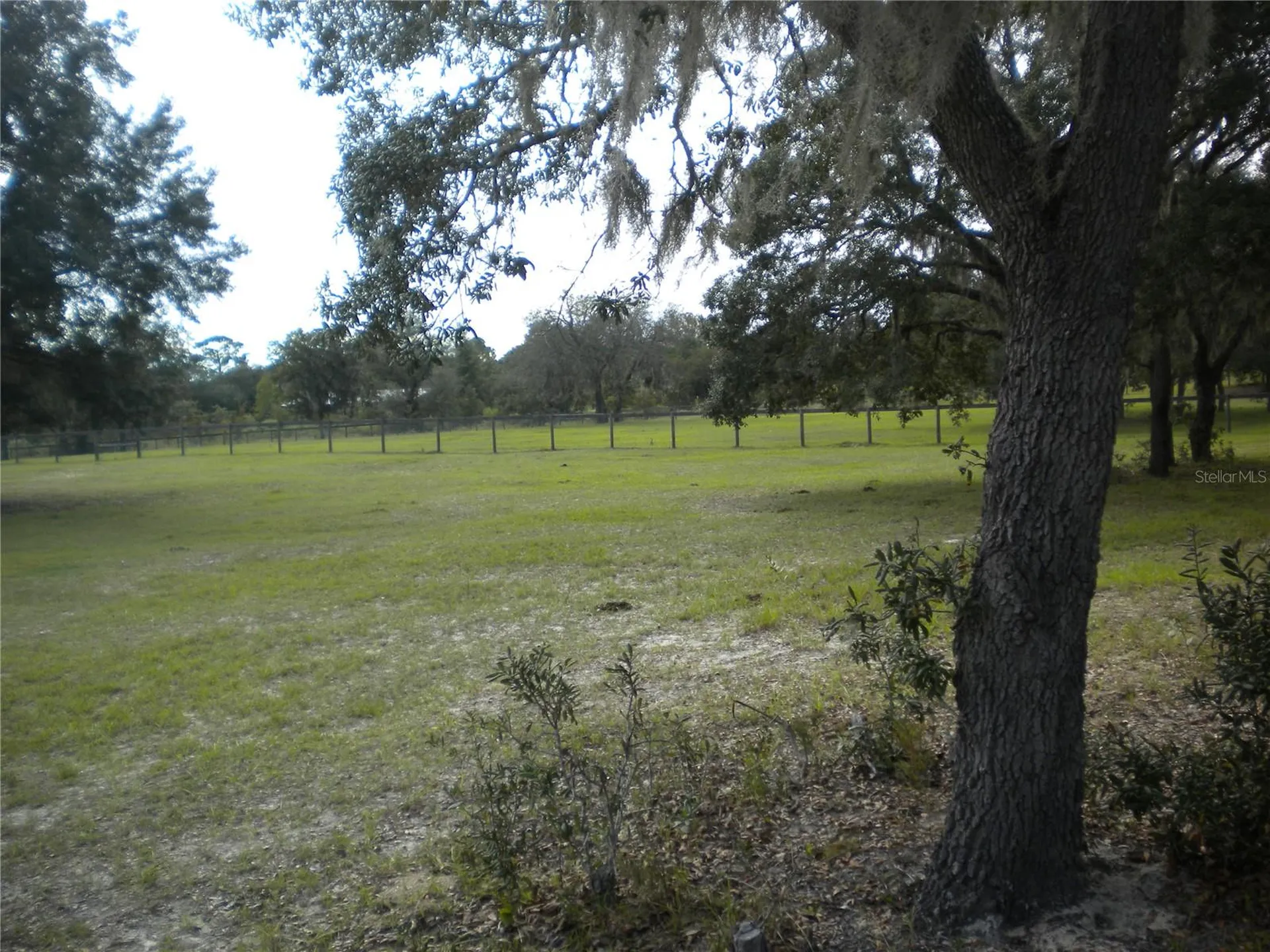 SE 125th Court Dunnellon FL 34431