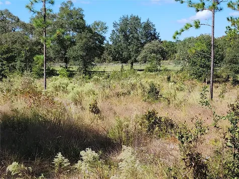 SE 125th Court Dunnellon FL 34431