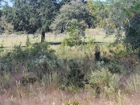 SE 125th Court Dunnellon FL 34431