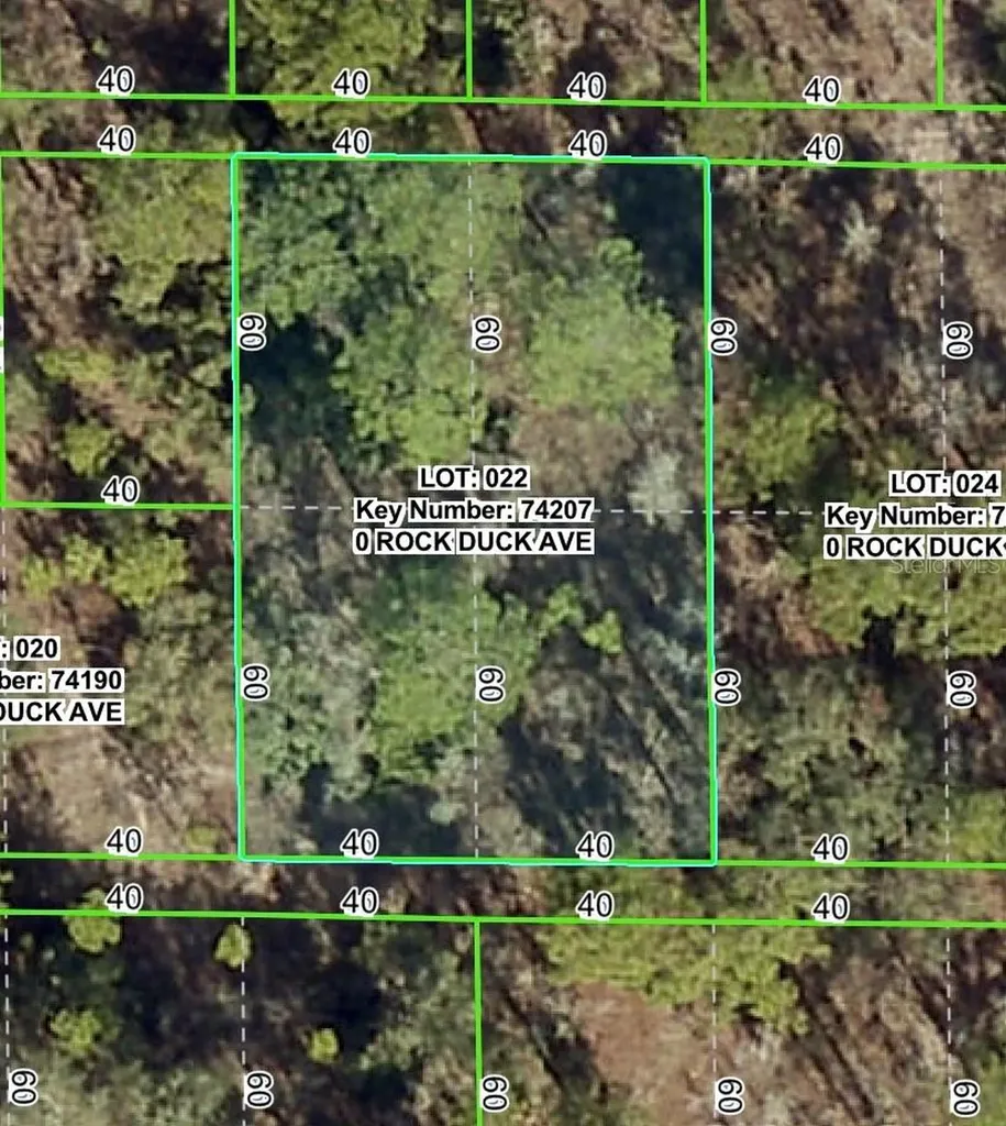 Rock Duck Avenue Brooksville FL 34614