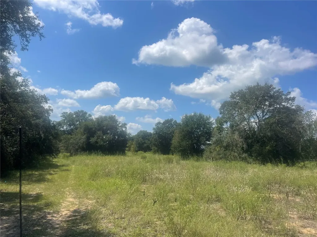 Tbd Keene Road Umatilla FL 32784