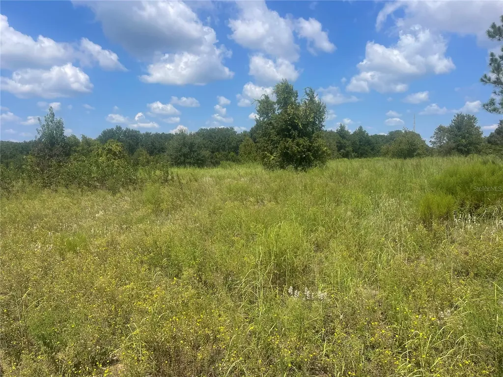 Tbd Keene Road Umatilla FL 32784