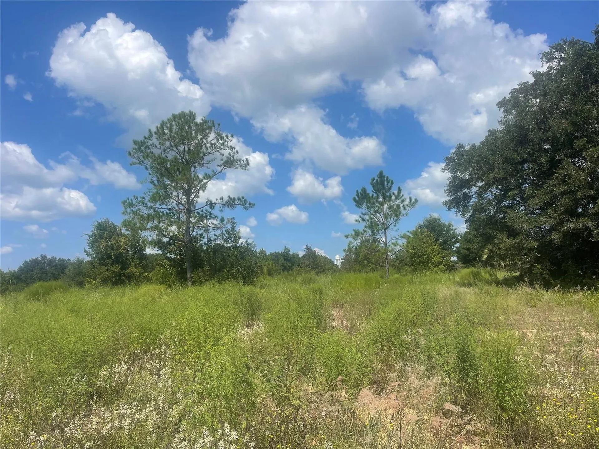 Tbd Keene Road Umatilla FL 32784