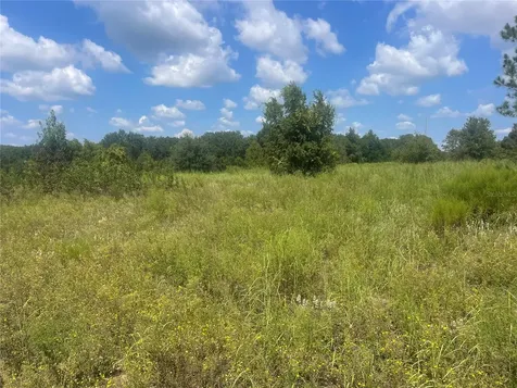 Tbd Keene Road Umatilla FL 32784
