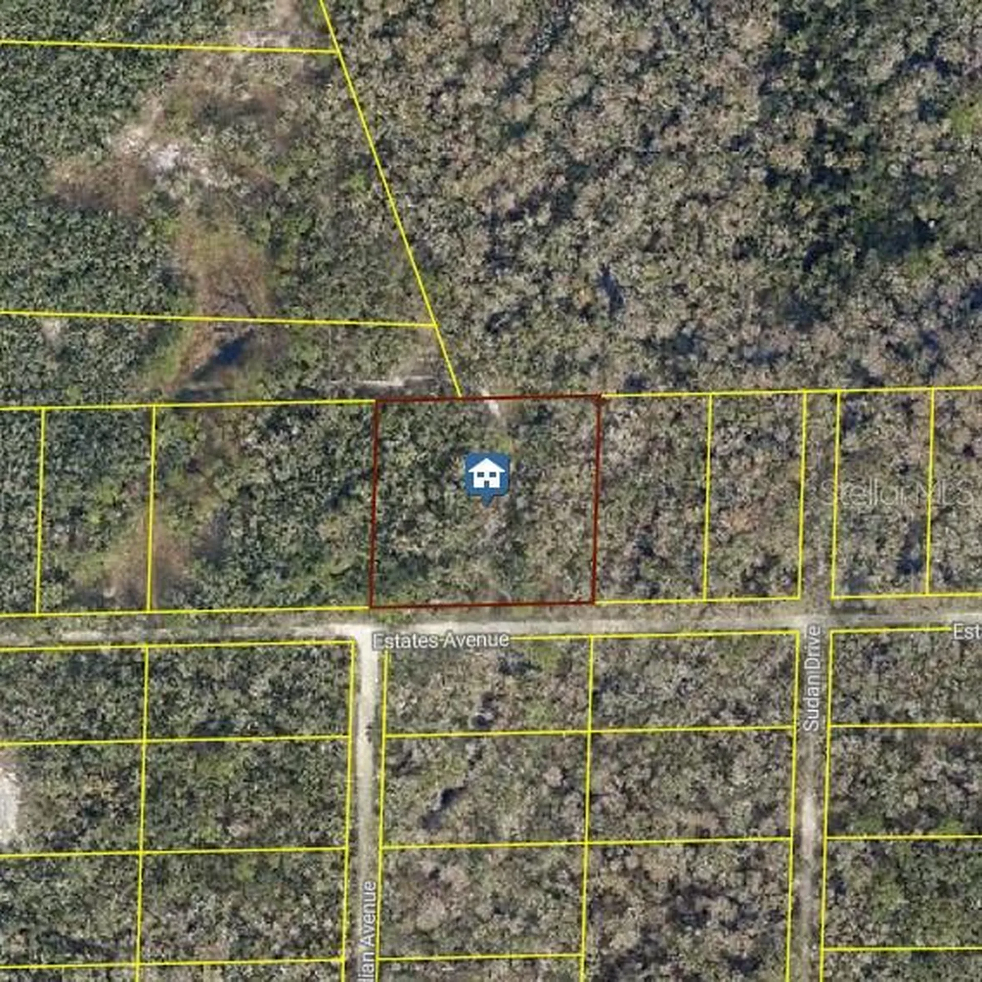 Rose Bloom Avenue Webster FL 33597