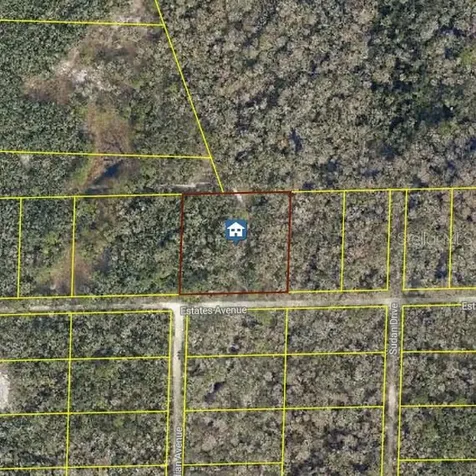 Rose Bloom Avenue Webster FL 33597