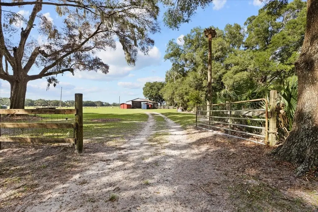 7551 NW 115th Street Chiefland FL 32626