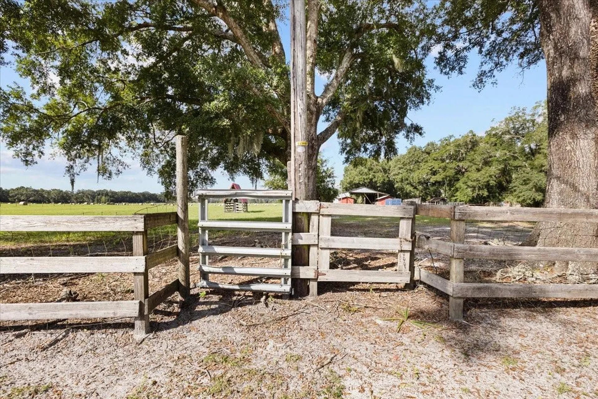 7551 NW 115th Street Chiefland FL 32626