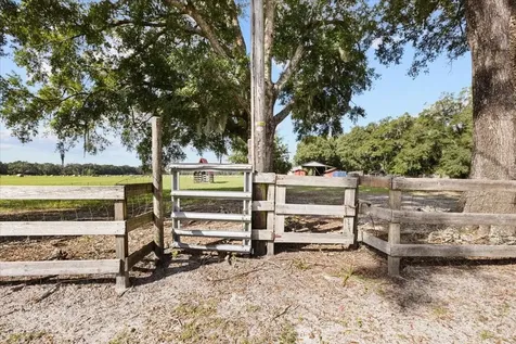 7551 NW 115th Street Chiefland FL 32626