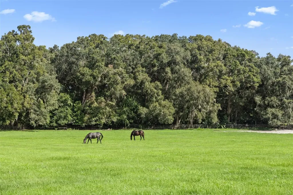551 NE 200 Avenue Williston FL 32696